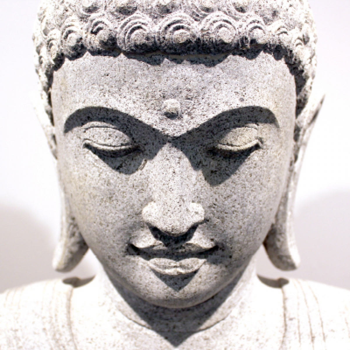 Profissional II 26/27