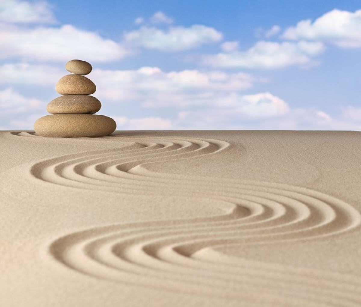 Curso Elementar Feng Shui Porto